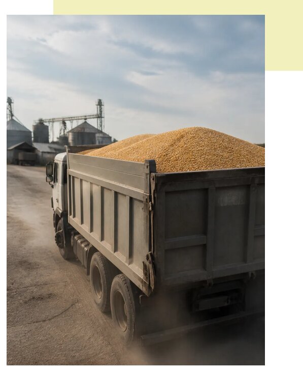 Перевозка сельхозпродукции навалом в Мирный по цене от 3033 р. | Агросервис-Мир